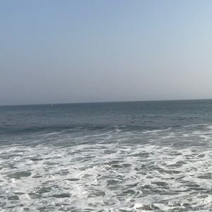 Meet your Posher, Phoebe